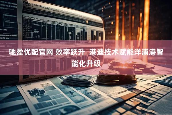 驰盈优配官网 效率跃升  港迪技术赋能洋浦港智能化升级