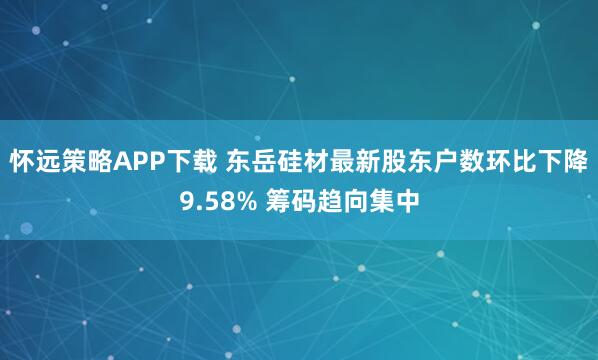 怀远策略APP下载 东岳硅材最新股东户数环比下降9.58% 筹码趋向集中