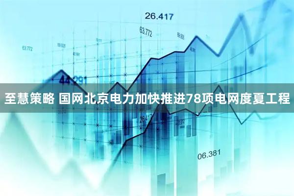 至慧策略 国网北京电力加快推进78项电网度夏工程