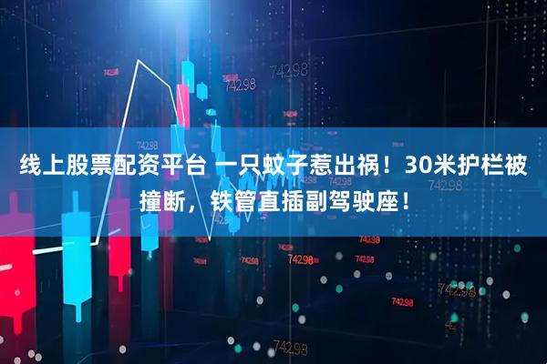 线上股票配资平台 一只蚊子惹出祸！30米护栏被撞断，铁管直插副驾驶座！